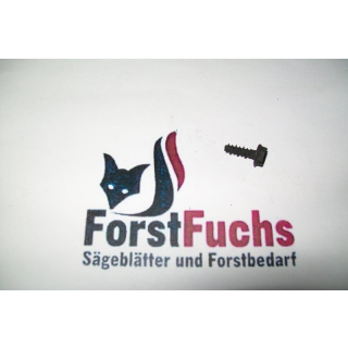 Schraube für Briggs & Stratton-Motoren