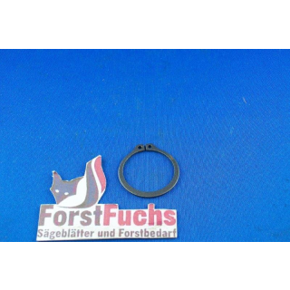 Sicherungsring 30