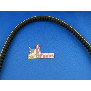 Keilriemen f&uuml;r AS 901 SM Schlegelm&auml;her