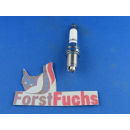 Zündkerze RIDEX für Audi/BMW/Dacia/Fiat usw.