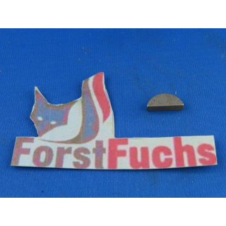 Scheibenfeder für AS 84 Mulchmeister